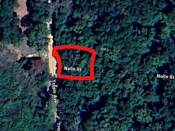 0 Tropic Ave Lot 233, Interlachen, FL 32148