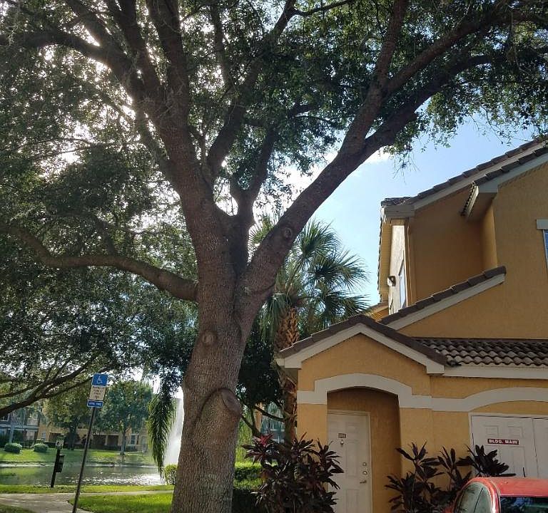 2nd image of 19914 Villa Creek Dr Unit 201