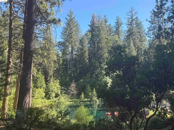 18931 Middle Camp Sugar Pine Rd, Twain Harte, CA 95383