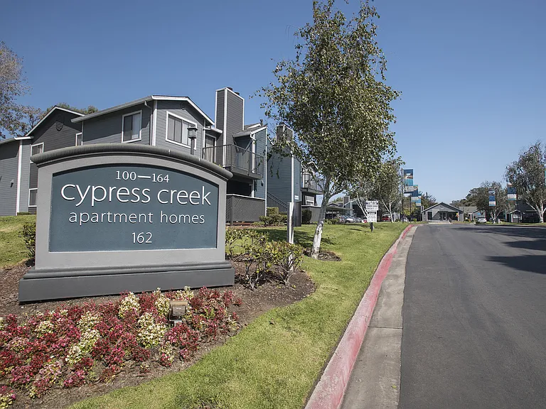 Cypress Creek — Photo 32