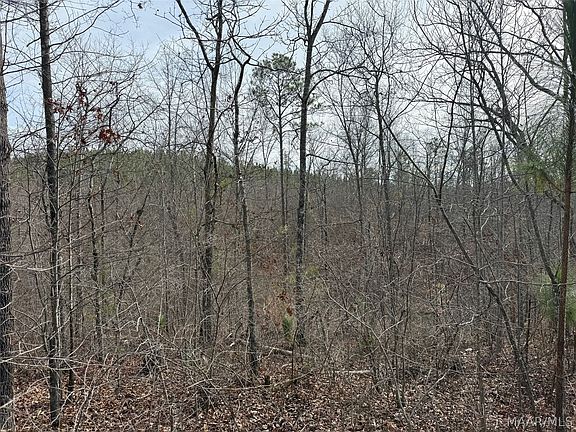 3rd image of 0 Valley Rd
