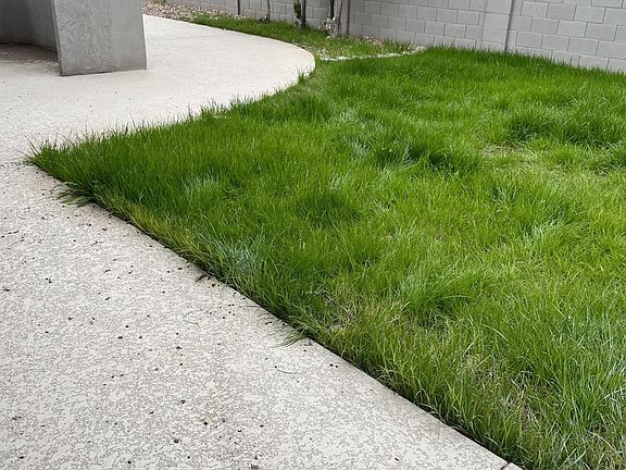 5th image of 8320 N 58th Dr