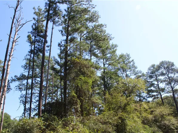 0 Fm 362 Rd, Navasota, TX 77868