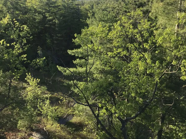 100 Carrick Trl, Gravenhurst, ON