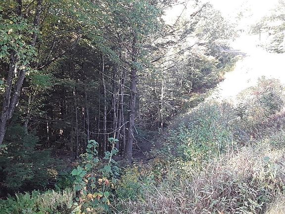 5th image of 296 Northwest Rd