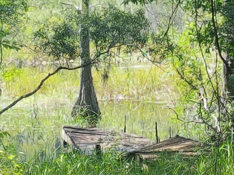 000 Paradise Lakes Rd, Chipley, FL 32428 Zillow