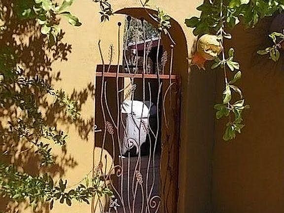 Custom Wrought Iron Gates