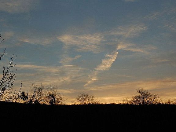 Evening Sky