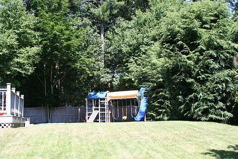 Backyard 2
