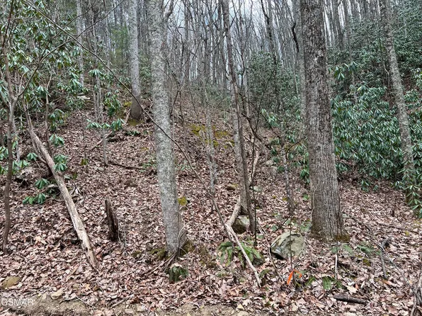LOT 10 John Sevier Dr, Sevierville, TN 37876