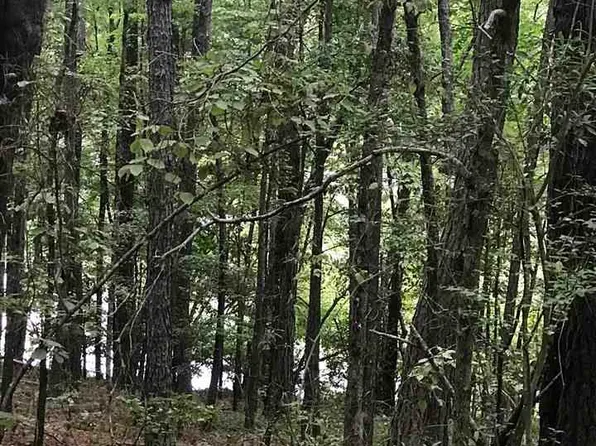 Highway 191 #32, Alpine, AL 35014