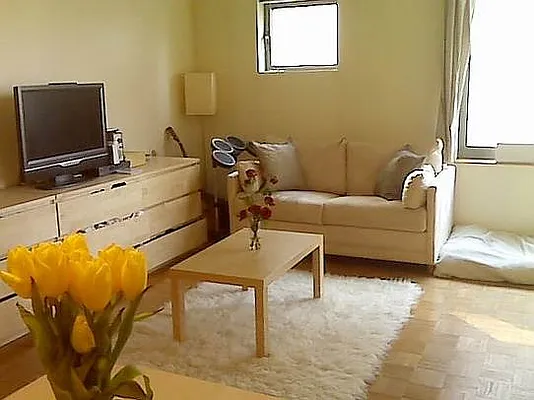 Rented by Stribling | media 13