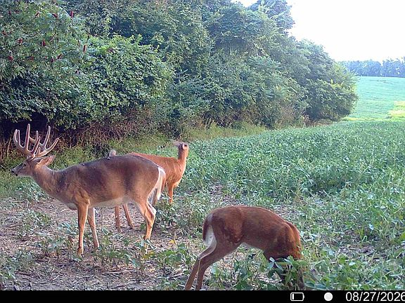 4th image of 0 Upper Twin Rd S