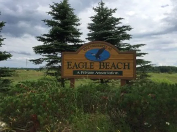 9562 Maple Isle Ct, Alanson, MI 49706