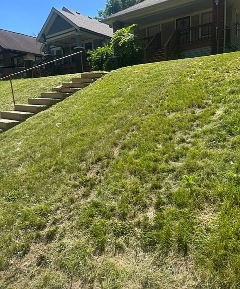 right side of front yard