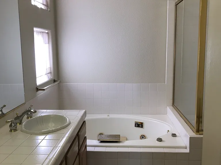Master Bathroom and Jacuzzi