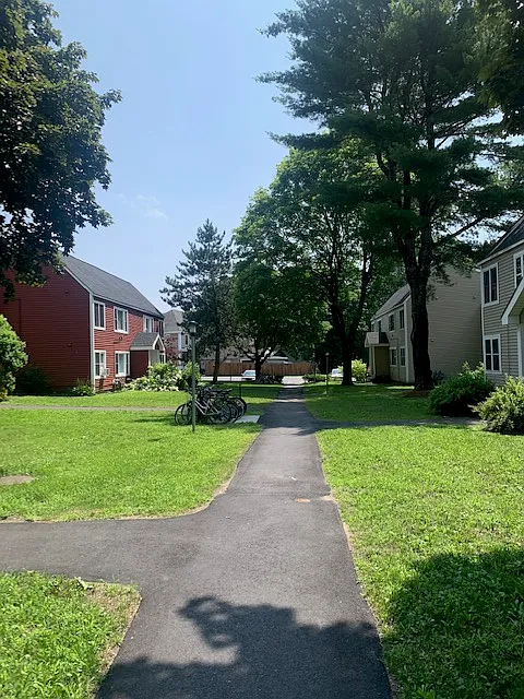 Forest Glen — Photo 3