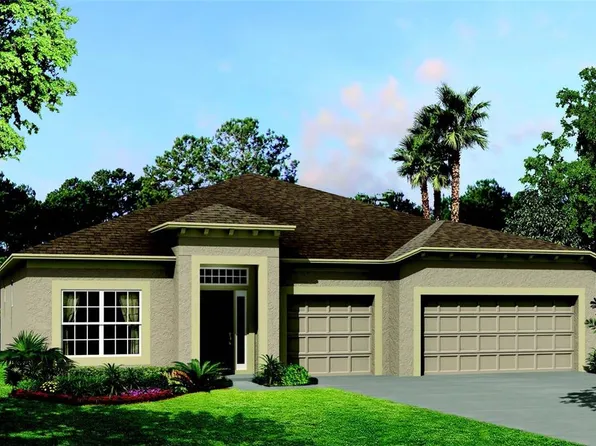33306 Sycamore Leaf Dr, Wesley Chapel, FL 33545