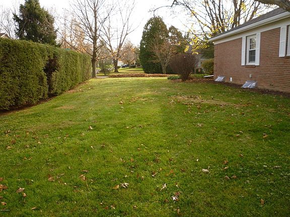 Large yard area