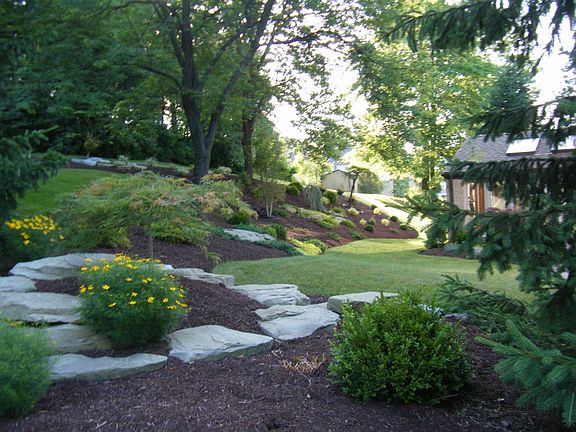 Rear Yard Prof L'scape