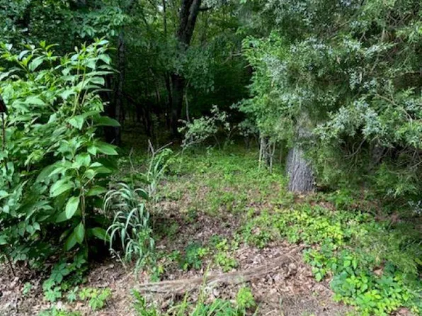 0 Webber Rd, Palmersville, TN 38241