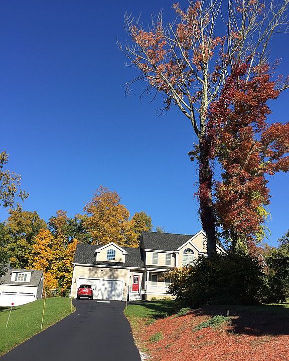 1st image of 19 Beverly Hill Dr