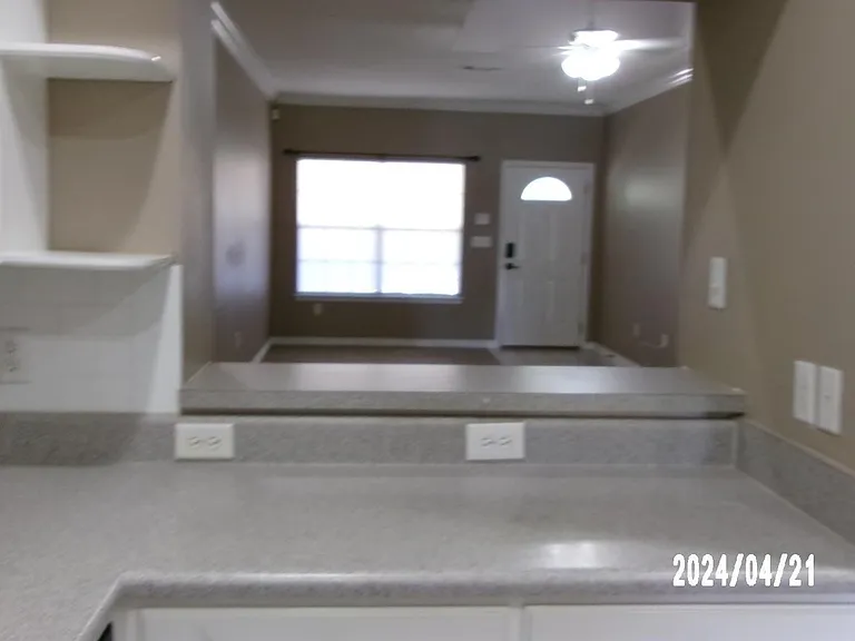 7322 Mangum Dr #7322 — Photo 7