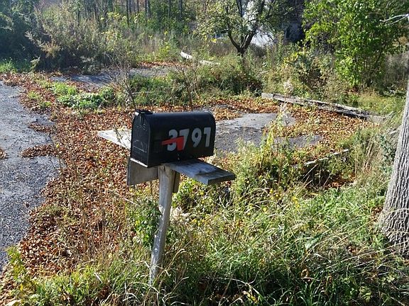 5th image of 3797 County Road 40
