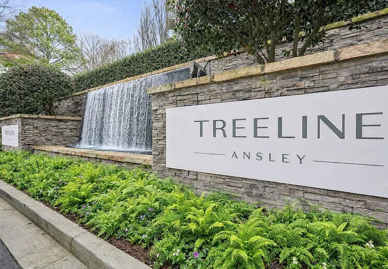 Treeline Ansley — Photo 1