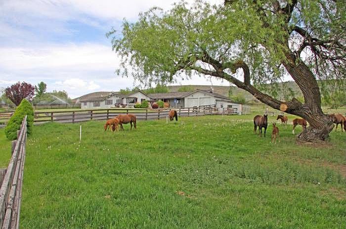 Sprawling Main Residence