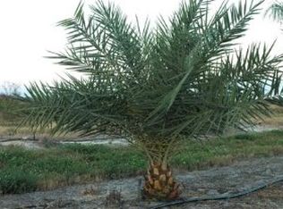 5908 Kings Hwy, Fort Pierce, FL 34951