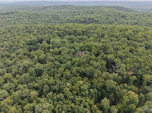 Section 32 Township 29 Range #3, Piedmont, MO 63957