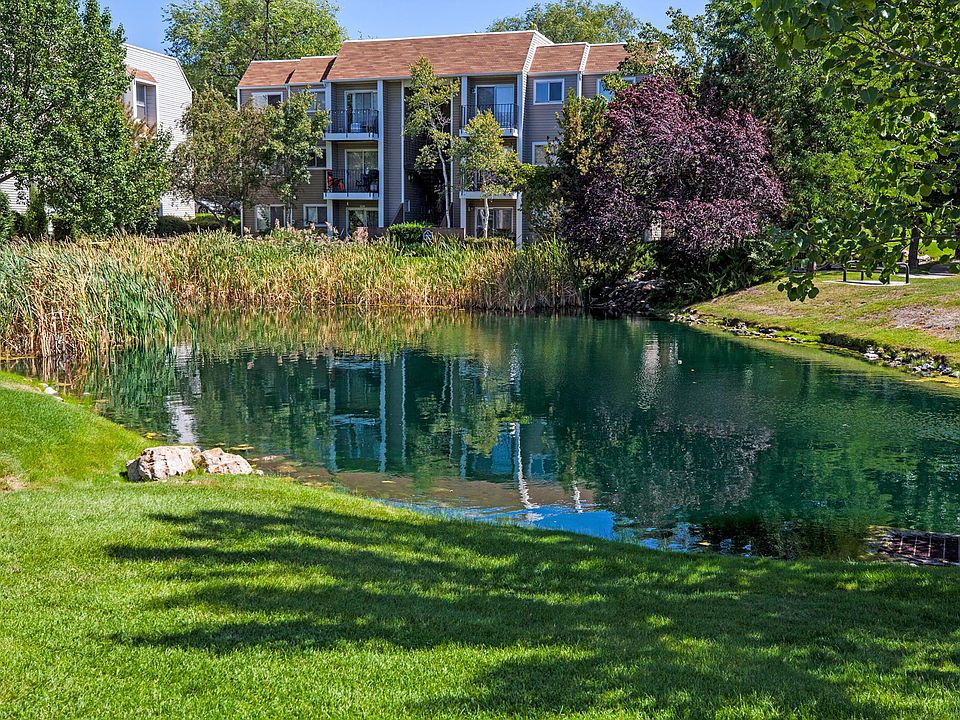 Pond