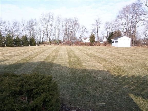 Level back yard
