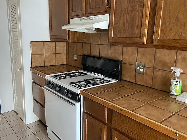 513 W Huron St #1 — Photo 7