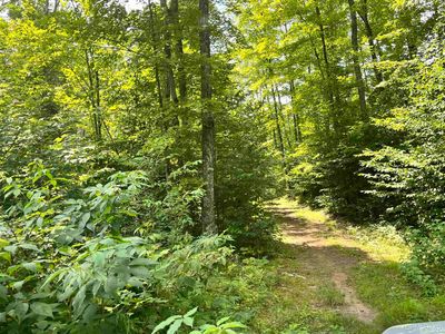 17290 County Road 468, Newberry, MI, 49868