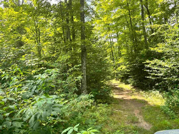 17290 County Road 468, Newberry, MI 49868