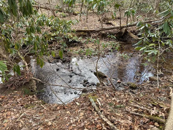 555 Evergreen Trl, Fancy Gap, VA 24328