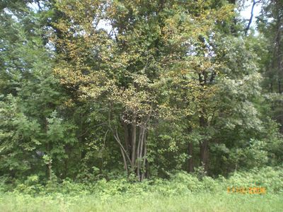 Tbd N Lakeview Dr, Breezy Pt, MN, 56472