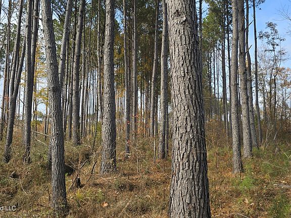 2nd image of Old Trace Rd