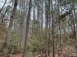 Baxter Rd, Livingston, TX 77351