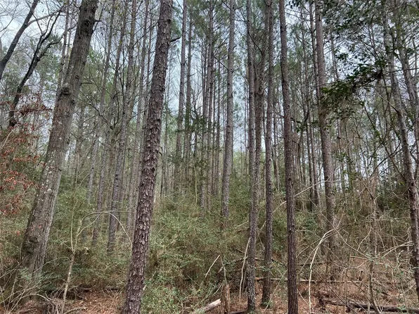 Baxter Rd, Livingston, TX 77351