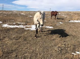 Cold Iron Rd, Ramah, CO 80832