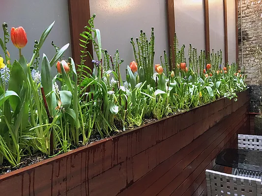 Rented by Douglas Elliman | media 15