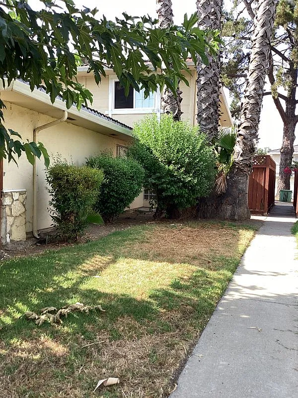 2 bed, 1.0 bath, 903 sqft, $3,300 — Photo 1