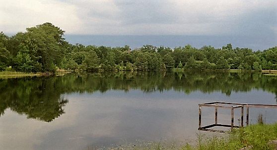 3rd image of Blue Heron Dr