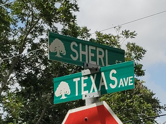 3rd image of 1501 Sherl St