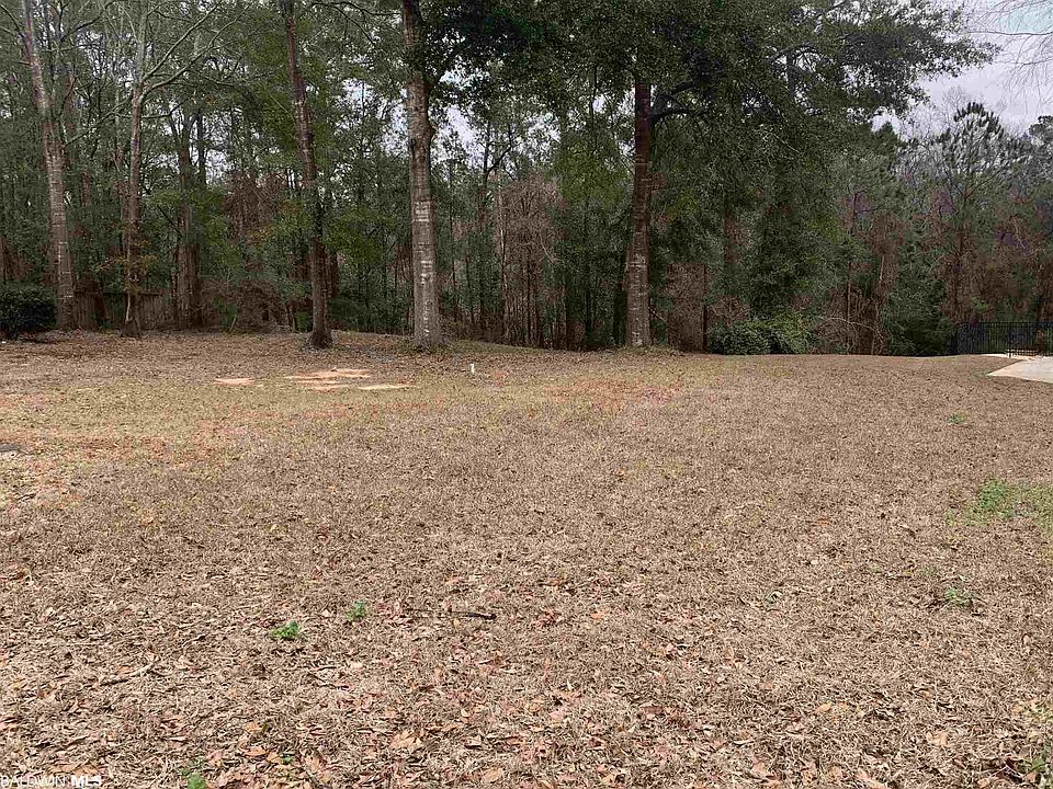 1st image of 0 Palmetto Ct #19
