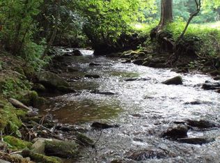 6695 Upper Burningtown Rd, Franklin, NC 28734