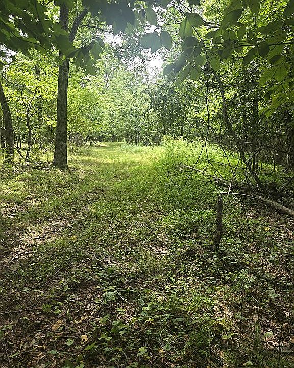 2nd image of 1616 Forest Acres Dr Lot 4